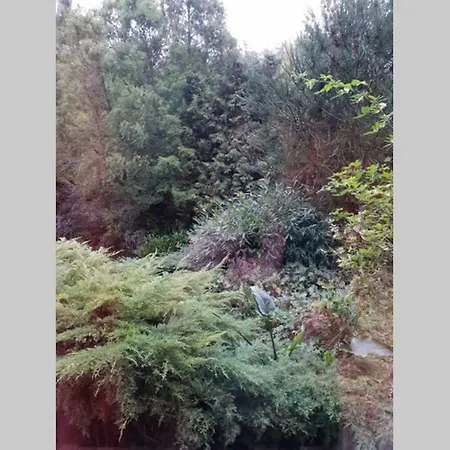 Dom wakacyjny Chez Maya Erquinghem-Lys